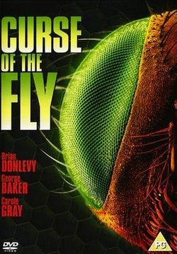 Проклятие мухи — Curse of the Fly (1965)